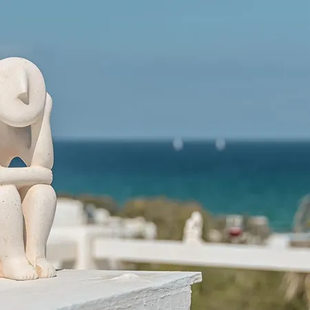 Remarkable Naxos | Timcanpy | 4 Bedrooms | Spaccious Sun Terrace | Outdoor Private Pool Surrounded By Lush Gardens | Stelida *